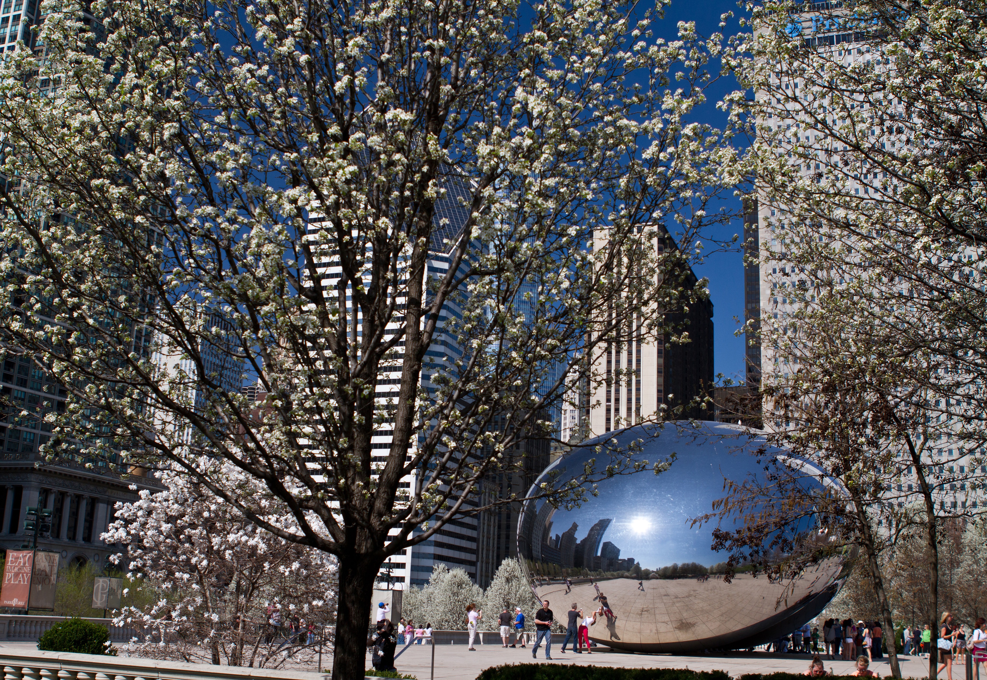 The Bean art structure in downtown Chicago 